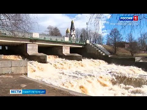 Вести Санкт-Петербург. Выпуск 9:00 от 08.04.2021