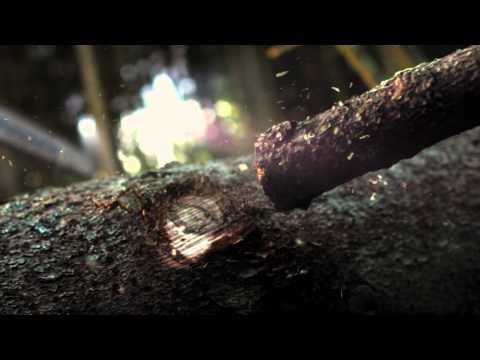 Introducing the new Husqvarna 550 XP chainsaw