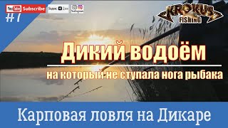 Карповая рыбалка на диких водоемах