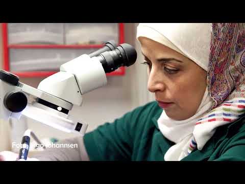 Blick in die Praxis: Zahnarztpraxis Dr. Peter Weiss in Hamburg-Eppendorf