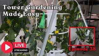 📱 Tower Gardening Made Easy LIVE CAM #towergarden #hydroponicgardening #garden #farm #aeroponic