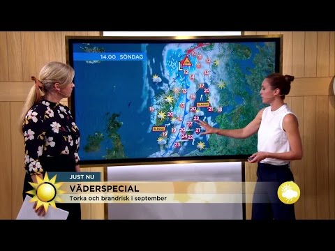 Jippie! Nu har vi bonussommar! - Nyhetsmorgon (TV4)