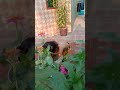 Girl Bathing Herself