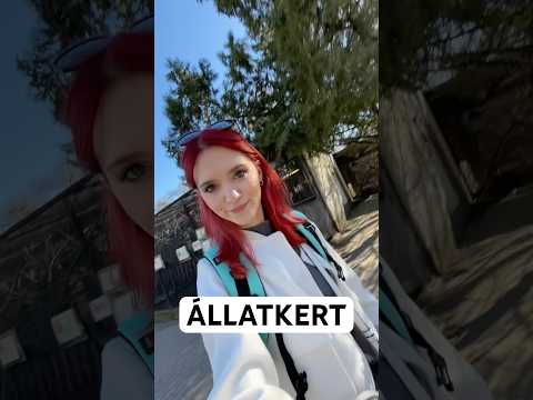 Mi a kedvenc állatod? Rendelj LAZEY Zoknit a lazey.hu-ról🥰