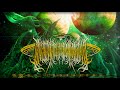 01101111011101100110111001101001 SDSS J0333​ ​0651 2019 Full Album