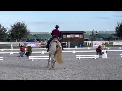 Inca e Nicole - Equitação á Portuguesa B (73,3%)