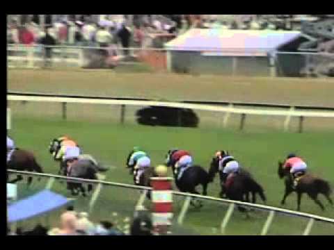 Pimlico 05/18/13 Race 9 - Gallorette Hcp