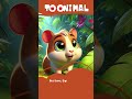 Gigi The Guinea Pig Videos For Toddlers Jungle Adventure