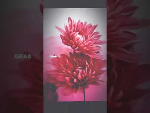 #new #pruthaphotography #short