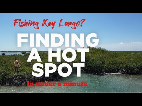 Key Largo’s Secret Fishing Spot — Here’s Why It’s Fire 🔥