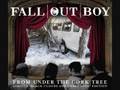 Fall Out Boy Star 67