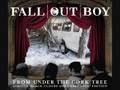 Fall Out Boy-Star 67 