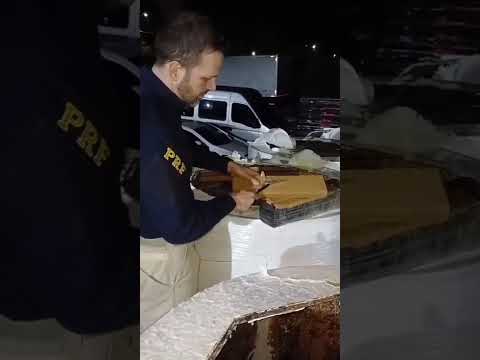 25 de janeiPRF APREENDE MAIS DE 3,3 TONELADAS DE MACONHA EM FLORESTA (PR)ro de 2026