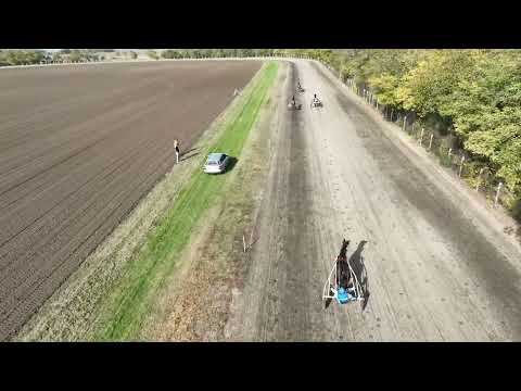 Srbobran 27.10.2024, Interconnection & Novica Đorđević