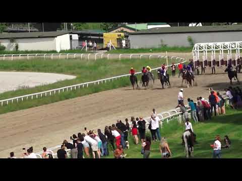 Trka Sonny Santino - 23.05.2021. - Hipodrom Beograd