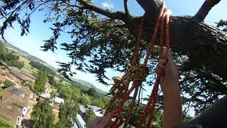 preview picture of video '90ft Atlas Cedar Climb'