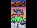 Wild C A T S 90s Cartoons We Forgot Wildcats Shorts ‍ ️