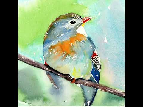 Tarquinio Merula - La Lusignuola (the nightingale) - 4 Recorders - Virtual Instruments