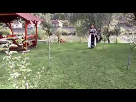 Oana Bogdana Pop - Frunza verde tamaita