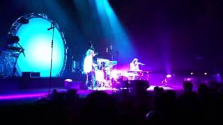 Cats on trees @ zenith de Toulouse