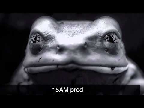 black frog original mix 2014 15AM production by dj curt