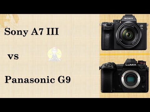 Sony A7 III VS Panasonic G9