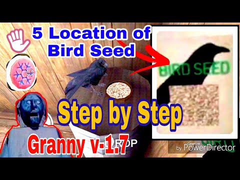 YouTube video about: Where can you find the bird seeds in granny?