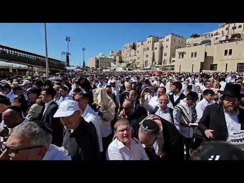Hallel Songs Blessings 🙌 from Kohanim at the kotel Jerusalem