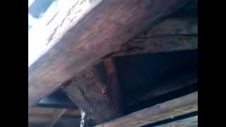 preview picture of video 'The timber framed roof structure of the Anna Clapp Harris house in Dorchester (MA)'
