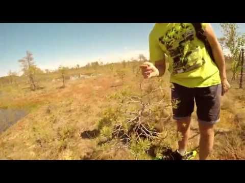 Purvu bridēju pārgājiens Cenas tīrelī