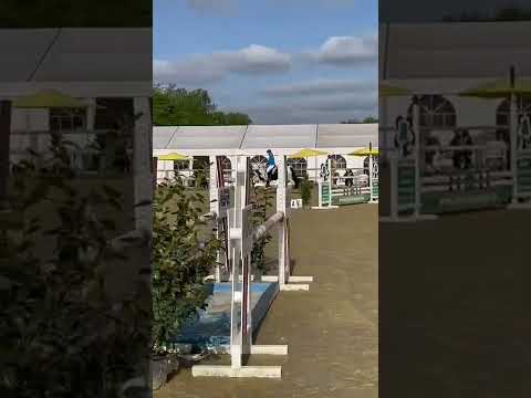 Stilspring -WB mit steigenden Anforderungen - Tinker Sullivan - Lienen 2022