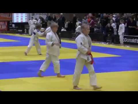 JYVÄSKYLÄ SHIAI 11.2.2017 / R. Poikonen U13-46kg, R. Vauhkonen U13-38kg ja L. Honkanen U15-46kg