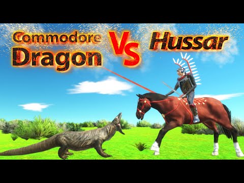 Commodore Dragon VS Hussar ! Battle ! ARBS