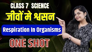 Class 7 Science Chapter 10 | जीवों में श्वसन Respiration In Organisms In One Shot | NCERT Solutions