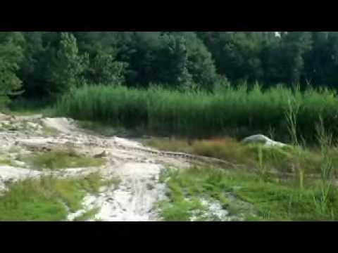 Tommy dorsi and Cory callaway on pitbikes