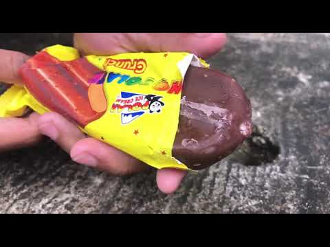 polar bear ice cream