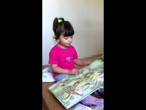 Stella che racconta la favola del pulcino ....