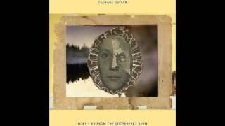 Teenage Guitar - "Spliced at Acme Fair"