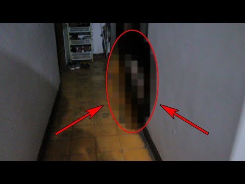 Unauthorized Visitor