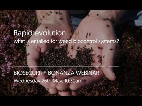 Biosecurity Bonanza webinar: Rapid evolution – what is entailed for weed biocontrol systems