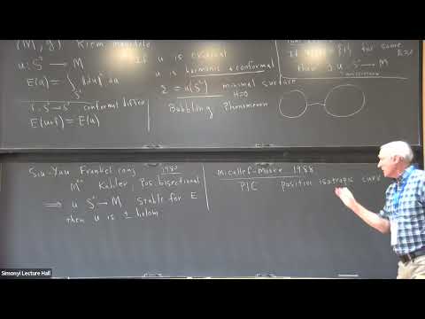 Minimal surface stability in higher codimension - Richard Schoen