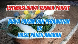 Download lagu COLONY PARAKIT FARMING /// Small capital side business with abundant results mp3