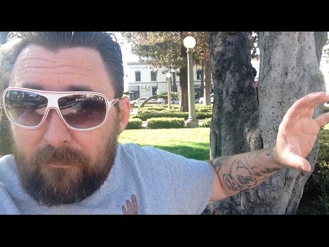 TDW 1334 - Where Will I Be ? Meet Ups / Conventions