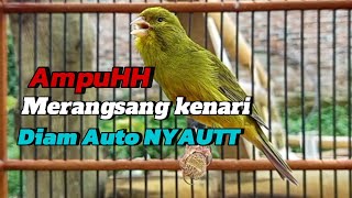 Download lagu Kenari gacor panjang Cuit Cuit,TERAPI KENARI PAUD belajar bunyi, Ampuh merangsang kenari macet bunyi mp3 Download lagu Kenari gacor panjang Cuit Cuit,TERAPI KENARI PAUD belajar bunyi, Ampuh merangsang kenari macet bunyi mp3