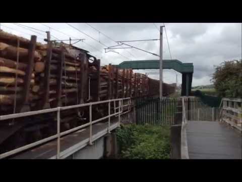 Logs, Modal and Newbie 68003 - Brock - 2nd June 2014