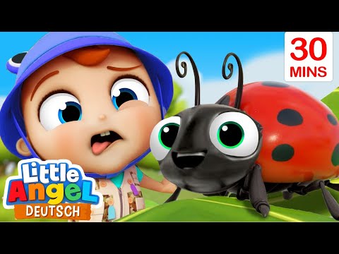 Klein Joni besucht den Insektenzoo | Biene, Marienkäfer, Schmetterling | Little Angel Deutsch