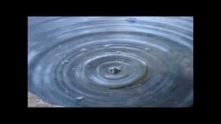 11 absolutly stillness: There is movement and stillness at the same time.