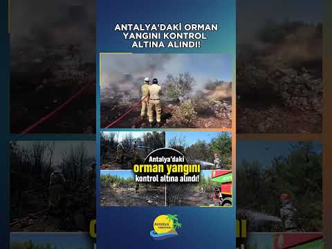 Antalya'daki orman yangını kontrol altına alındı!