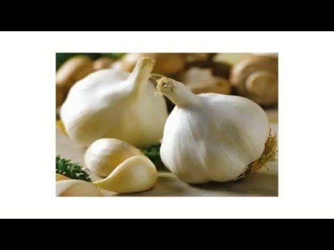 Стимулирующие, профилактические и витаминизированные подкормки для пчел весной после облета