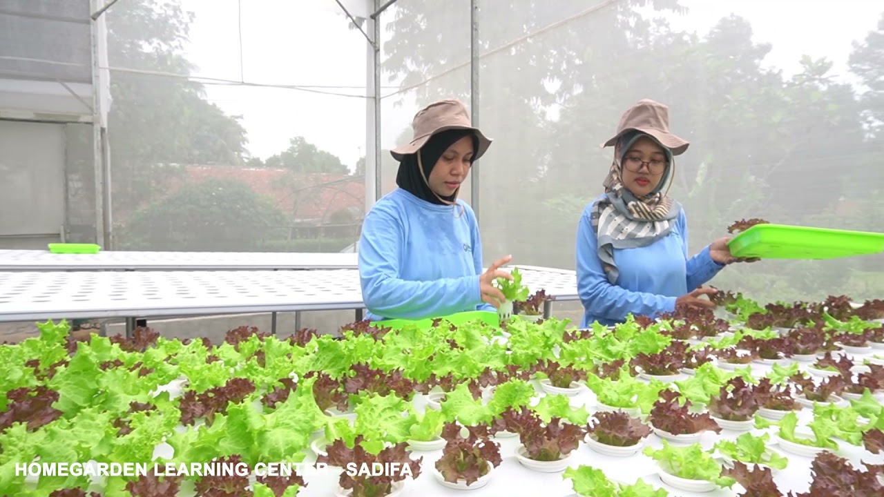 Learning Facilities of Faculty of Agriculture IPB University